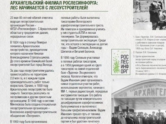 В Архангельске откроется фотовыставка, посвященная сохранению лесов Поморья