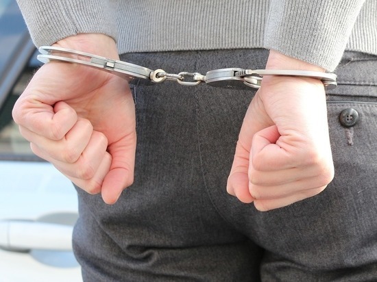 В Курске полиция задержала двух подозреваемых в кражах из ТЦ