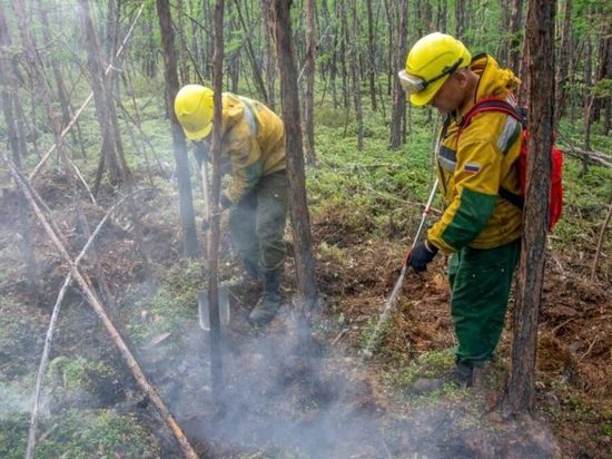 За сутки в Якутии потушено 8 лесных пожаров