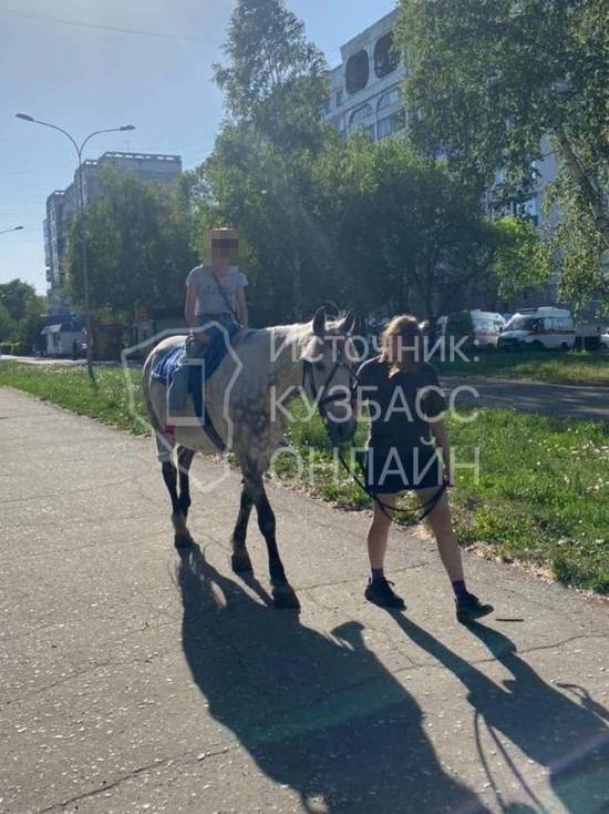 Дети по навозу ходят: новокузнечане пожаловались на прокат лошадей