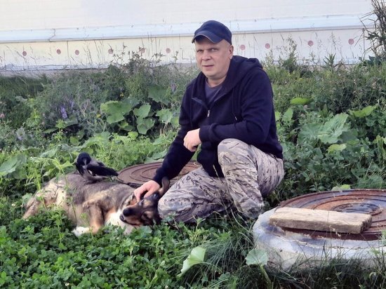 Непридуманная история о человеке, его псе и вороне