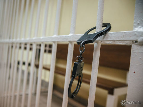 Новокузнечанин попал в колонию за кражу норковой шубы у сестры