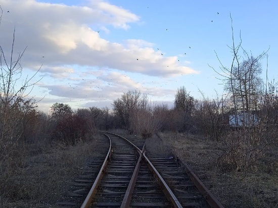 Донецкая железнодорожная станция заминирована «Лепестками»
