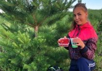 Жительница Челябинской области собрала рекордный урожай клубники