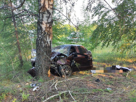 В Чувашии водитель «Гранты» врезался в дерево и погиб