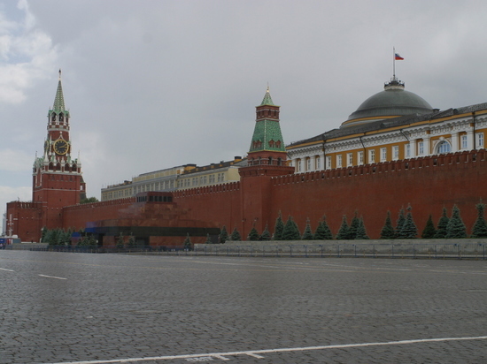 Кремль оценил возможность встречи Путина с Зеленским на G20
