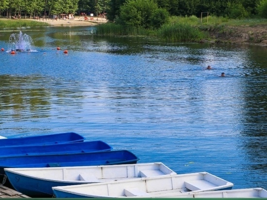 В летнем заплыве в Мичуринске примут участие руководство города и любители здорового образа жизни