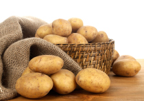 О пользе и вреде картофеля для организма любят порассуждать многие - еще бы, одно из главных блюд на столе россиян