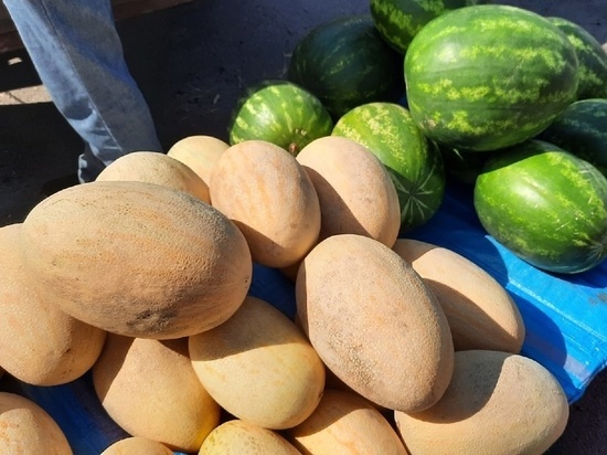 Тамбовчанам посоветовали, как выбрать вкусные арбузы и дыни
