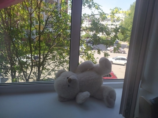Уголовные дела возбудили в Сокольском районе вследствие падения детей из окон