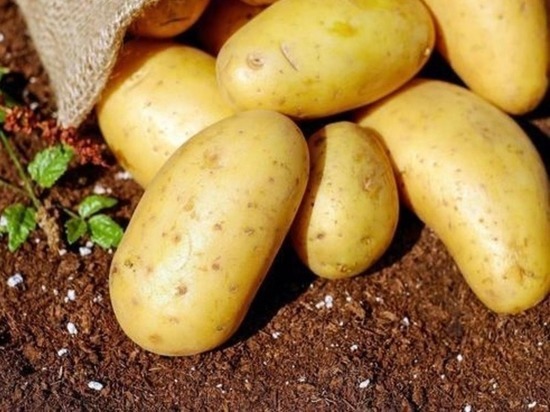 Потерявшим урожай в паводок дачникам Читы выдадут около 180 кг овощей