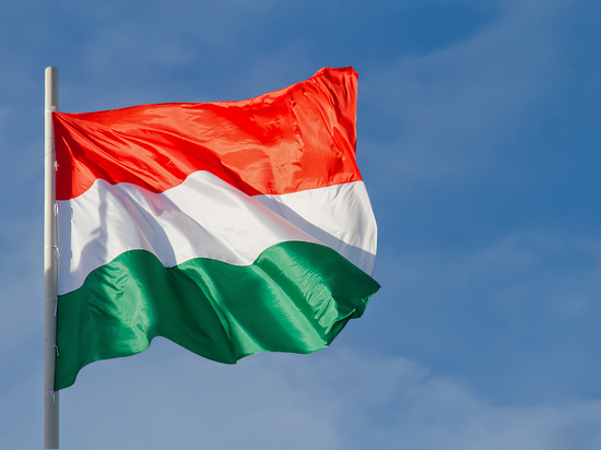 Эксперт предрек Венгрии кризис из-за остановки прокачки российской нефти через Украину
