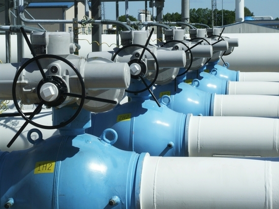 Регулятор ФРГ призвал страны ЕС экономить газ для стабилизации цены