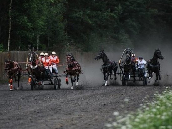 13 августа на Московском конном заводе №1 пройдет турнир по традиционной экипажной езде для русских троек