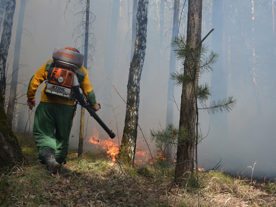 Из-за жары на юге Красноярского края усиливают команду пожарных