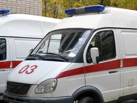 В Курской области после ДТП с комбайном госпитализация потребовалась водителю КамАЗа
