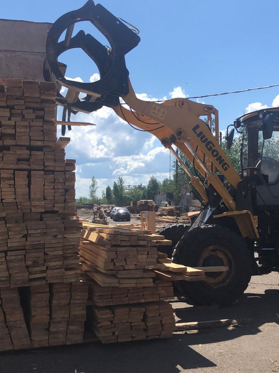 В партии пиломатериалов из Кузбасса обнаружили опасного  жука