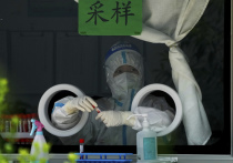 Китай бьет тревогу: уже 35 человек заболели «недавно идентифицированным» вирусом Лангья, который, как считается, передался людям от землероек
