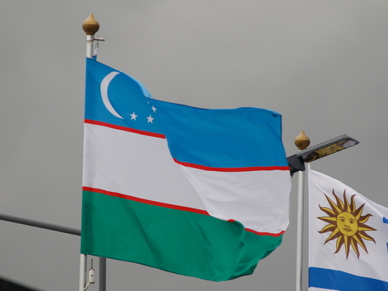 Посольство Узбекистана пригрозило соотечественникам, захотевшим участвовать в спецоперации на Украине
