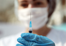 Назальную вакцину, которая будет обеспечивать длительный Т-клеточный иммунитет против коронавируса и вируса гриппа, разработали российские ученые
