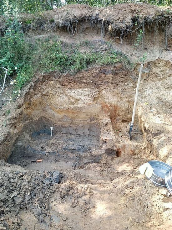 В Тверской области нашли кости мамонта, который пролежал в земле больше 40 тысяч лет