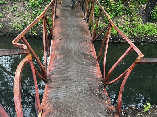 Малков поручил отремонтировать мост, пострадавший при падении Ил-76 в Рязани
