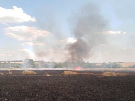 Жителя Поныровского района Курской области оштрафовали за поджог 1,5 га пшеничного поля