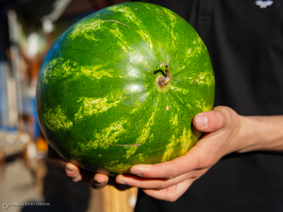 Наступил август, и жители Карелии всё чаще начали смотреть в сторону бахчевых на прилавках в продуктовых магазинах
