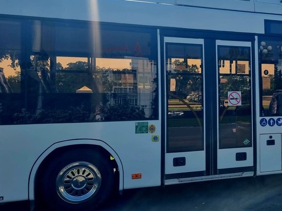 Пассажирский автобус съехал в кювет на юге Сахалина