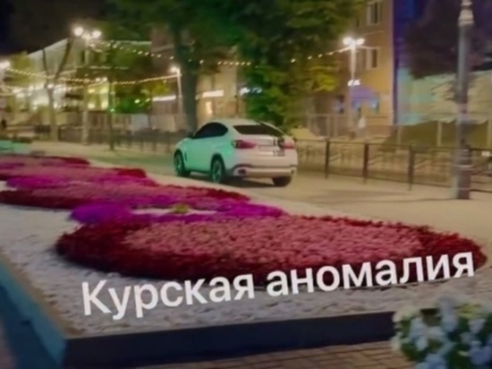 В Курске лихача на BMW наказали за дерзкий проезд по тротуару на Ленина
