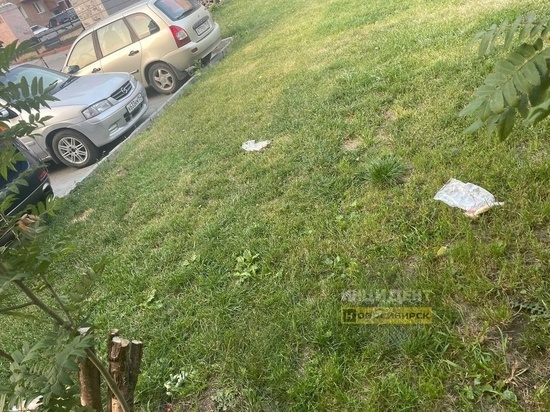 Жители Новосибирска пожаловались на разбросанное по улице мясо с ядом