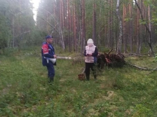 Пенсионер потерялся в лесу Приозерского района вечером в среду