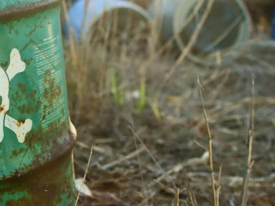  Бочки из-под химикатов нашли в питомнике имени Лукашова в Хабаровске