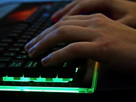 Новосибирцы пожаловались на участившиеся случаи кибермошенничества