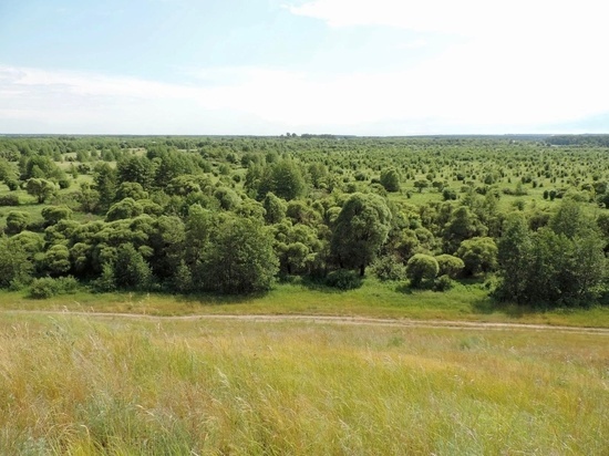 В заповеднике «Воронинский» временно закрыли пешие экскурсионные маршруты