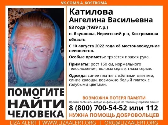 Костромские волонтеры разыскивают 83-летнюю жительницу поселка Якушовка
