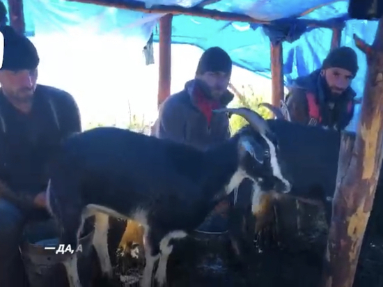 В Дагестане может закрыться сыроварня из-за обвала дороги