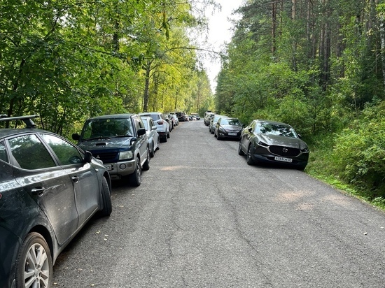 В Красноярске туристы перекрывают вход на Столбы автомобилями и создают угрозу ДТП