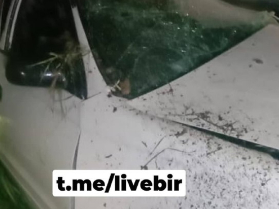 В Еврейской автономии на трассе произошло смертельное ДТП