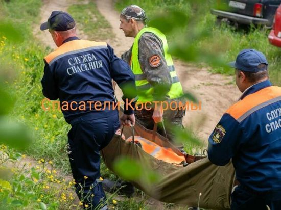Костромские спасатели вывели из лесов двух престарелых грибников