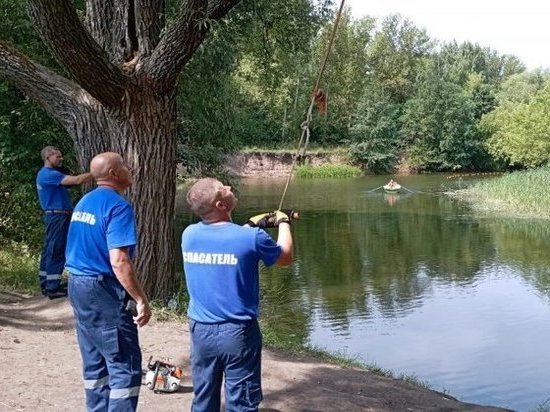 В Курске на реке Тускарь спасатели срезали опасную тарзанку рядом с пляжем «Олимпийский»
