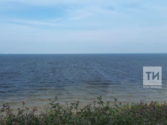 В рамках арт-субботника в Казани очистят береговую линию Волги в Займище