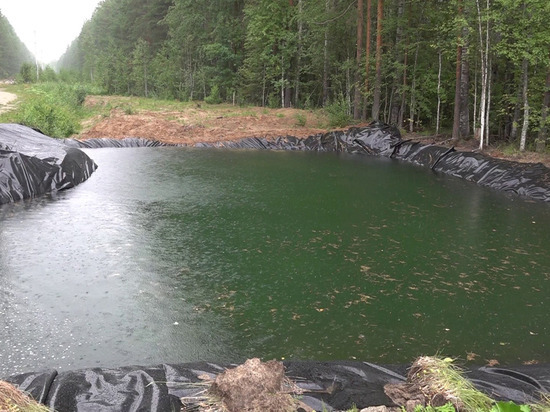 Костромская экология: пожарный пруд в Шарьинском районе станет рыбопитомником