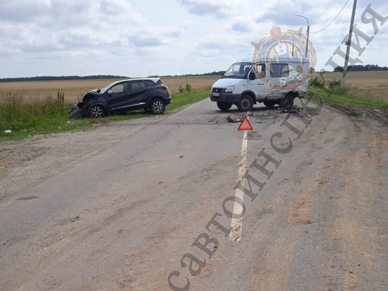 В ДТП с грузовиком в Богородицком районе пострадал 43-летний водитель "Renault"