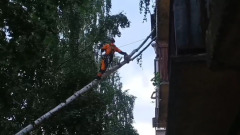 Сотрудник службы по спилу деревьев летает с бензопилой между домами