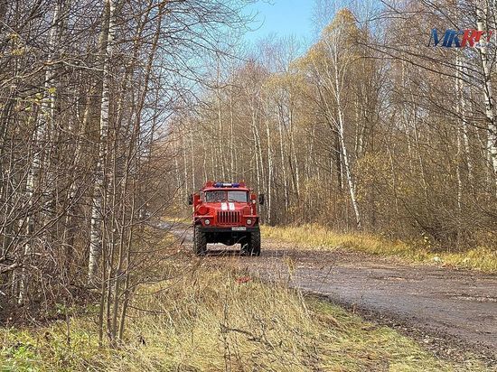 В Скопинском районе пожар охватил двухквартирный дом и хозпостройку