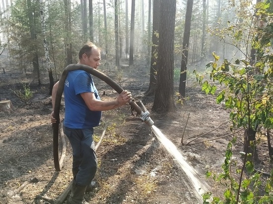 Курганцу грозит до 4 лет за неосторожное обращение с огнем в лесу