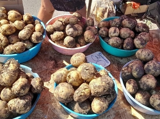 Жителей и гостей Орловской области накормят окрошкой и картошкой