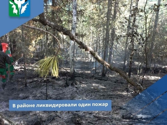 Почти тысячу гектаров горящего леса потушили за сутки в ЯНАО