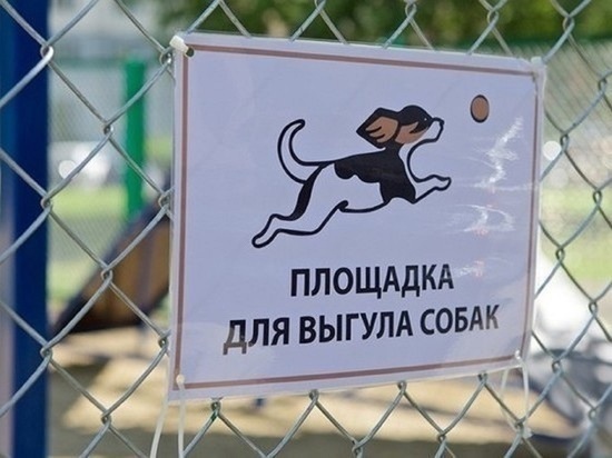 В Дзержинском районе Ярославля появилась первая благоустроенная площадка для выгула собак